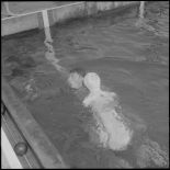 Déroulement de l'épreuve de sauvetage.