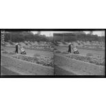 La Maison Blanche (Seine et Oise). Réeducation des mutilés pour l'agriculture. Mutilé vidant une brouette. [légende d'origine]