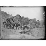 Polcista. Entrée des troupes serbes. [légende d'origine]