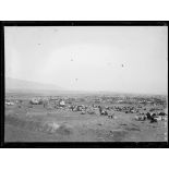 [Troupeaux de bovins et de moutons autour d'un campement : panoramique.]