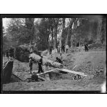 Laon (Aisne). Al'entrée de la ville, arbre déraciné par l'explosion d'une mine allemande. [légende d'origine]