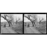 Galatista. Sur le sentier qui mène à Galatista. Opérateurs des sections Cinématographiques et Photographiques. [légende d'origine]