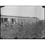 Montpellier. Centre neurologique de la 16e Région. Mutilés travaillant la vigne. [légende d'origine]