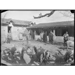 Montpellier. Centre neurologique de la 16e Région. La porcherie. [légende d'origine]