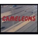 Caméléons.