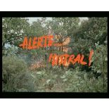 Alerte... Mistral !