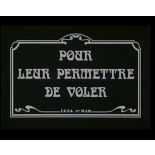 Pour leur permettre de voler.