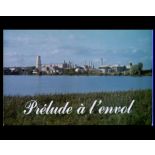 Prélude à l'envol.