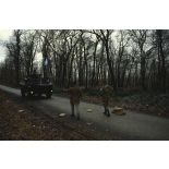 Véhicule de l'avant blindé (VAB) du 1er régiment d'infanterie de marine (1er RIMa) s'exerçant à passer un point de contrôle bosniaque miné reconstitué à d'Angoulême avant le départ pour la FORPRONU en Bosnie.