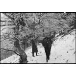 Réfection d'une ligne téléphonique par des soldats du 1er RTM (Régiment de tirailleurs marocains) près de Ranspach (Haut-Rhin). [description provisoire]