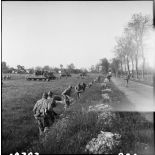Des zouaves du 4e régiment de zouaves (4e RZ), appuyés par des blindés de la 2e division blindée (2e DB), progressent vers Royan après s'être postés le long de la N150.