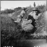 Zouaves du 4e RZ postés.