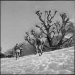 Patrouille du 7e bataillon de chasseurs alpins (BCA), région du Djurdjura.