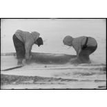 La neige et le gel causent des problèmes de circulation, du bois vient renforcer les routes.