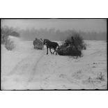 Des traineaux apportent du ravitaillement.