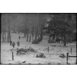 Des traineaux apportent du ravitaillement.