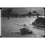 Medyn - Woronov. [Un cadavre dans la neige]. [Description en cours]