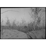 Ljudjnowo - Rhew. [Description en cours]<br>