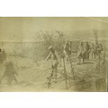Arrivée des prisonniers boches vers la cote 120. Ils ont l'air malheureux. Mai 1917. [légende d'origine]