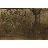 Cimetière boche à Chantereine. 17 mai 1917. [légende d'origine]