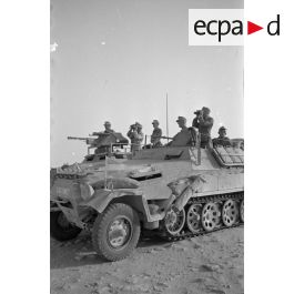 Solido 1/50, Blindé Sdkfz 251/10 3.7cm Division Leibstandarte, WW2, Rare (83
