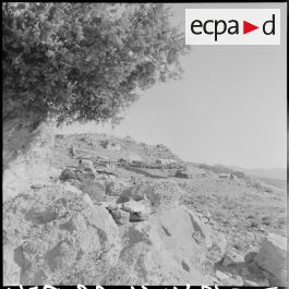 ImagesDéfense - Poste de la légion à Louestia. 3ème Régiment étranger d ...