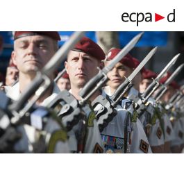 ImagesDéfense - Rassemblement des instructeurs du centre national d ...