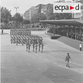 Soldat Starlux Parachutiste Armée D'Afrique - 1:32 (60mm) - Garde Au Drapeau
