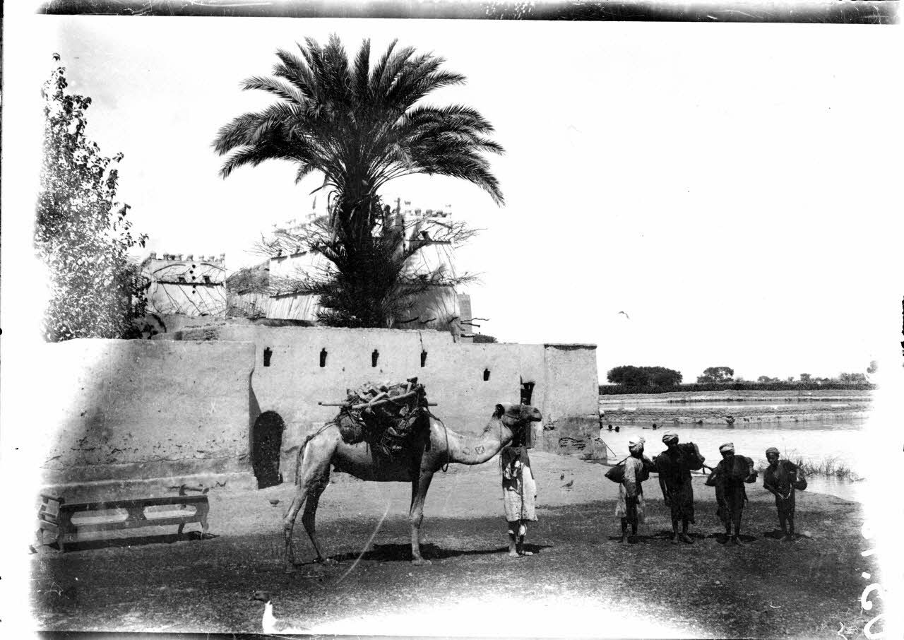 Egypte. Près de Louqsor. [légende d'origine]