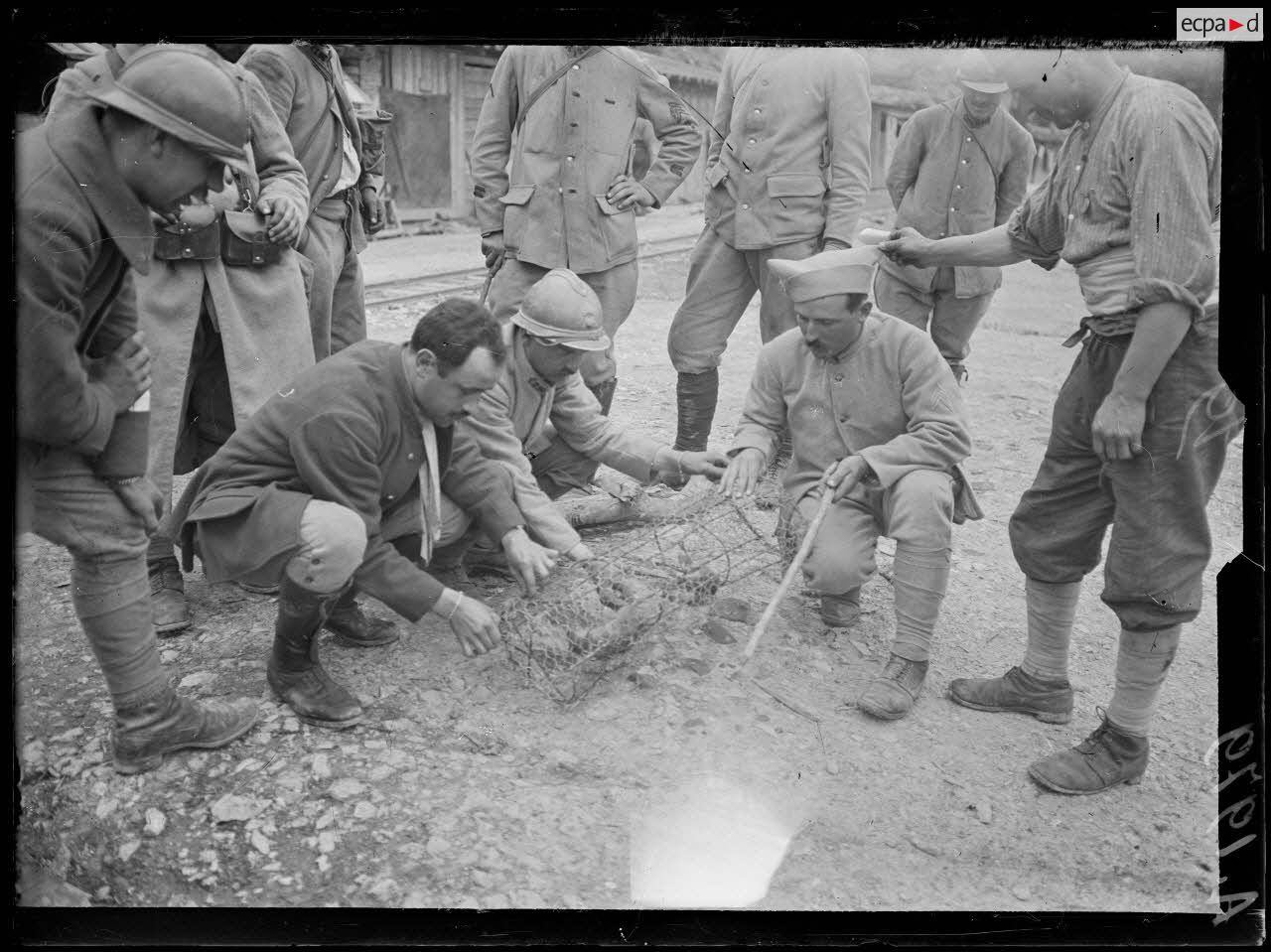 Four de Paris (Meuse). P.C. Coudé. Chasse aux rats. [légende d'origine]