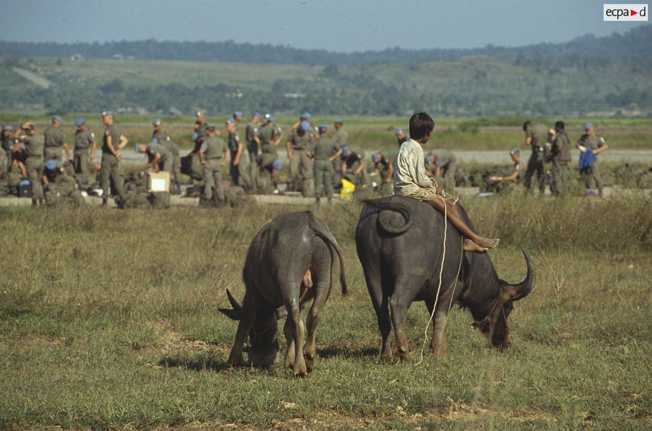 Enfant cambodgien sur un buffle en bord de piste.