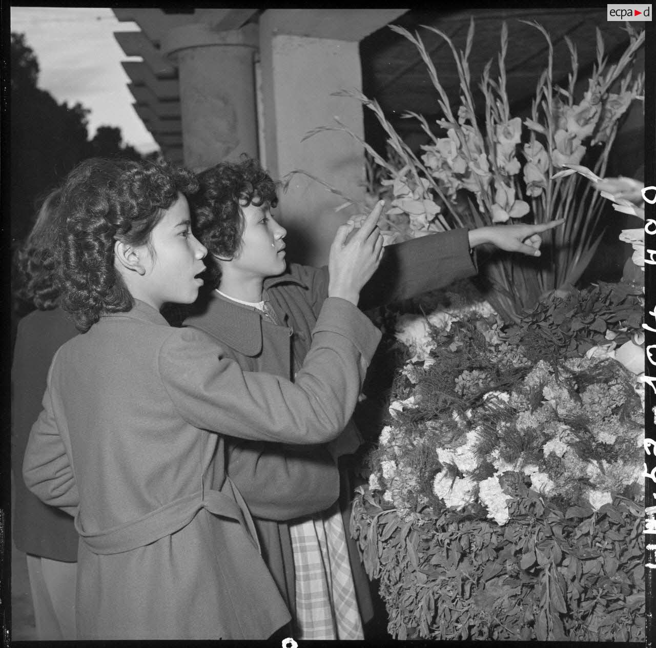 Portrait de jeunes femmes achetant des fleurs pour les préparatifs de Noël.