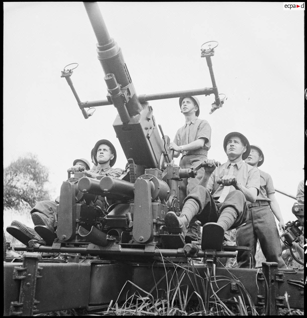 Lors d'une école à feu du 411e RAAA  (régiment d'artillerie antiaérienne) de la DMC (division de marche de Constantine), un canon de 40 mm Bofors est mis en batterie.