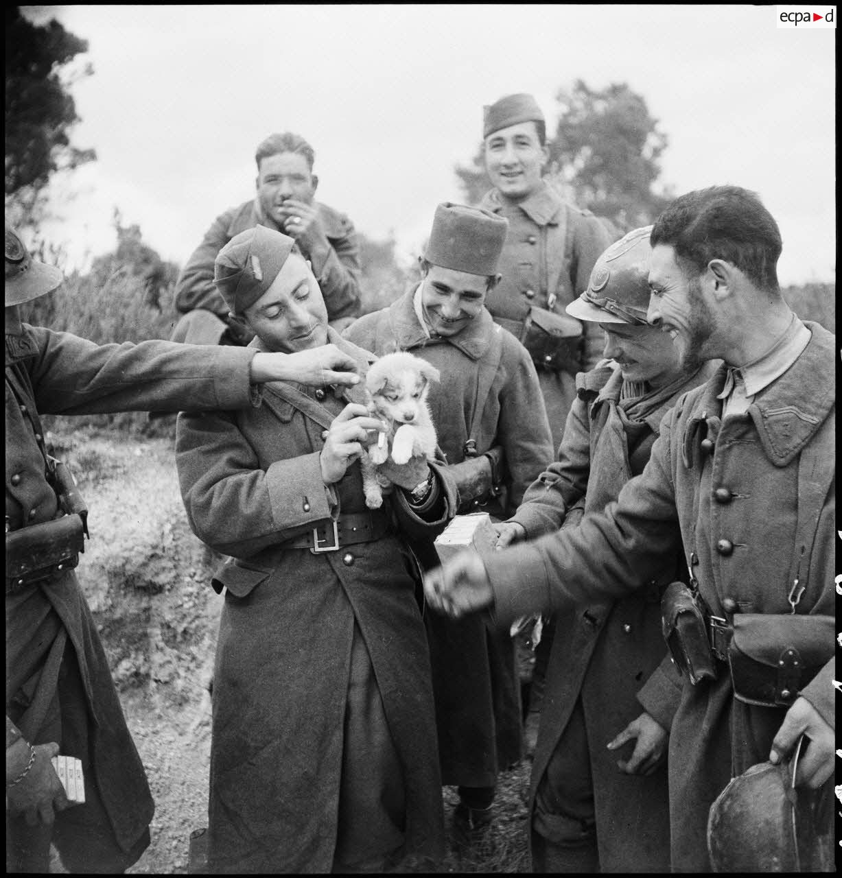 Photographie de groupe de tirailleurs du 7e RTA (régiment de tirailleurs algériens) de la DMC (division de marche de Constantine) dans le campement de l'unité, secteur de Maktar.