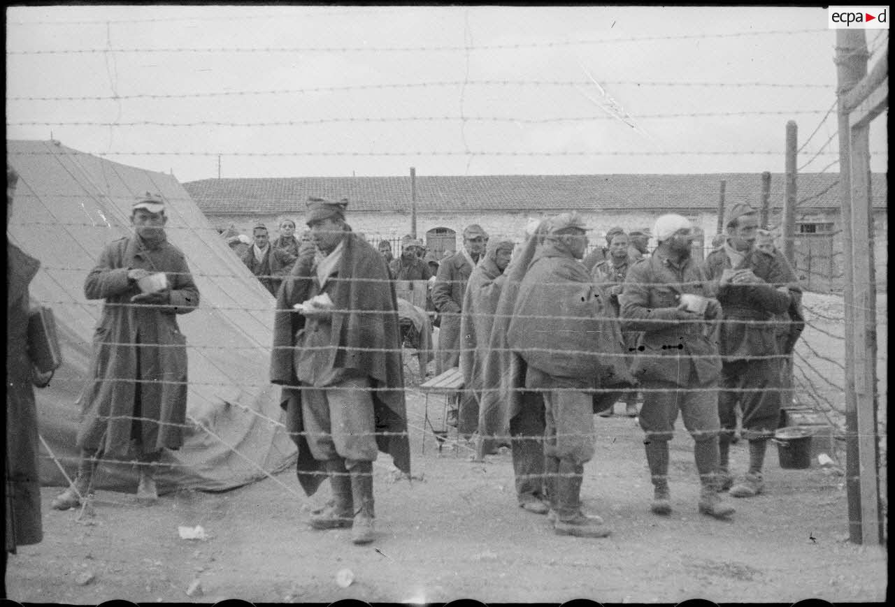 Prisonniers italiens et allemands dans le camp britannique de prisonniers de guerre à Tébessa, à 45 kilomètres à l'est de la frontière algéro-tunisienne.