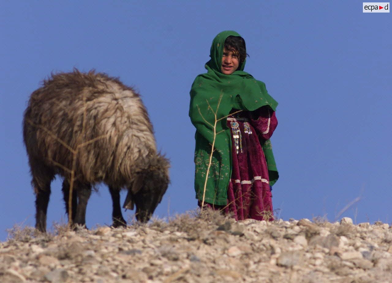 Jeunes bergers afghans.