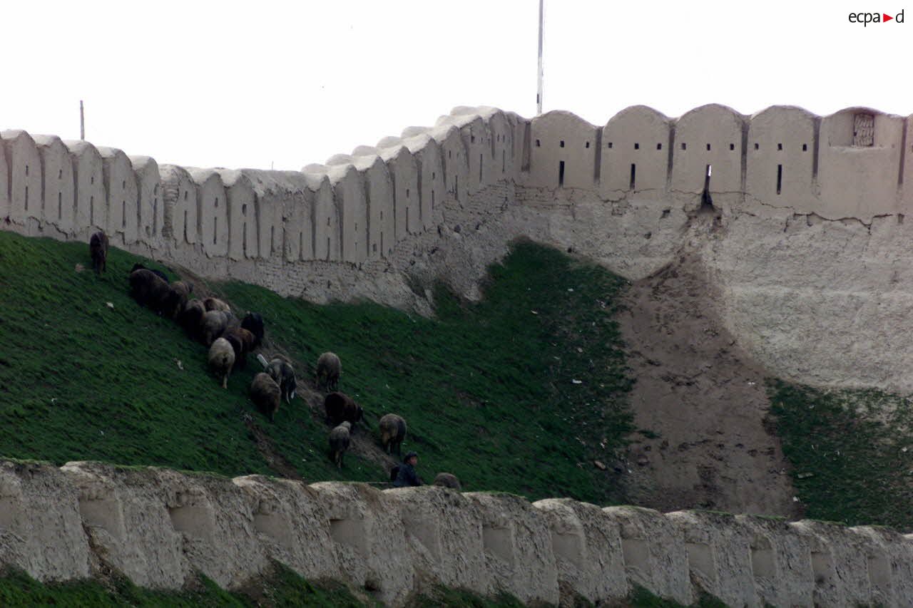 Remparts de la citadelle de Quala i Jangi près de Mazar e Charif, où des moutons broutent.