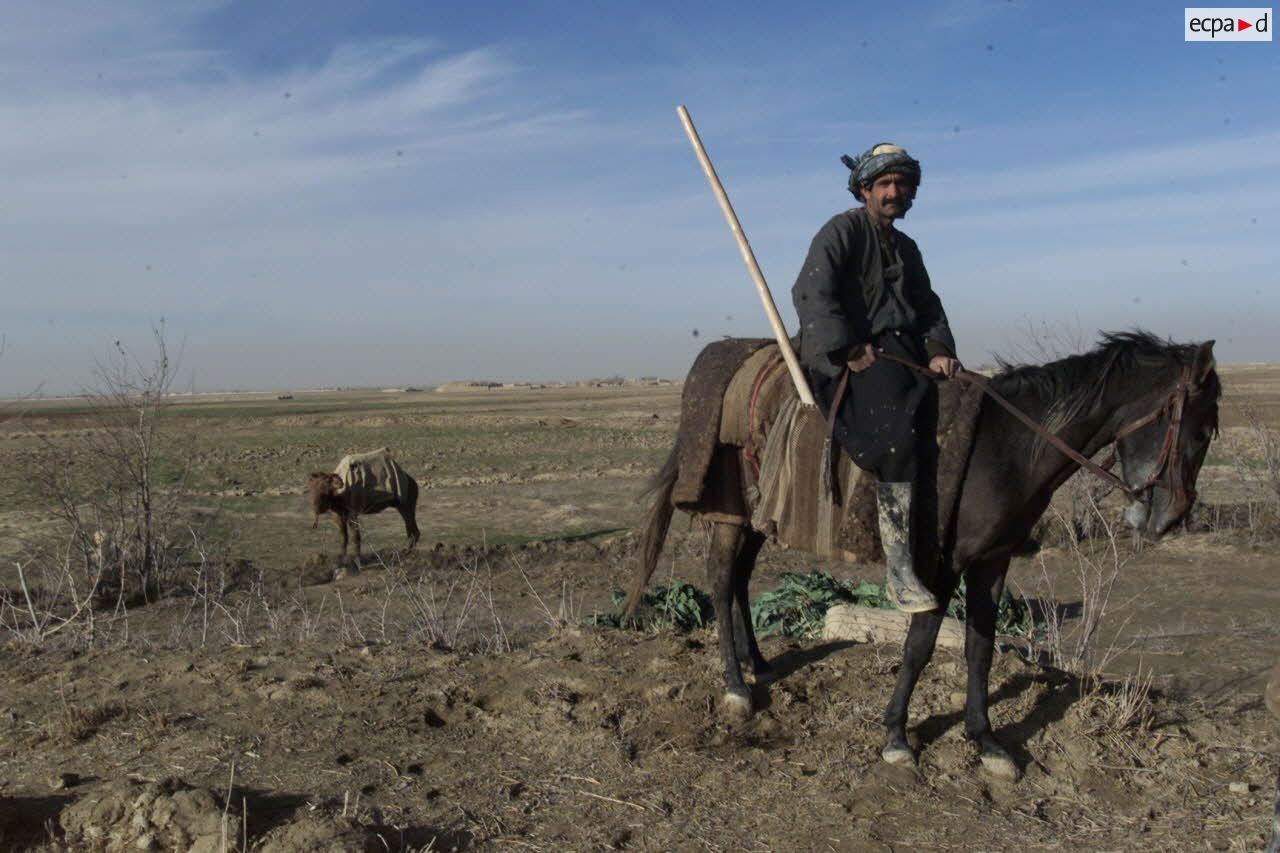 Les Afghans tadjiks du clan du général Ata sécurisent l'aéroport de Mazar e Charif tout en continuant à cultiver les champs aux alentours. Paysan à cheval.