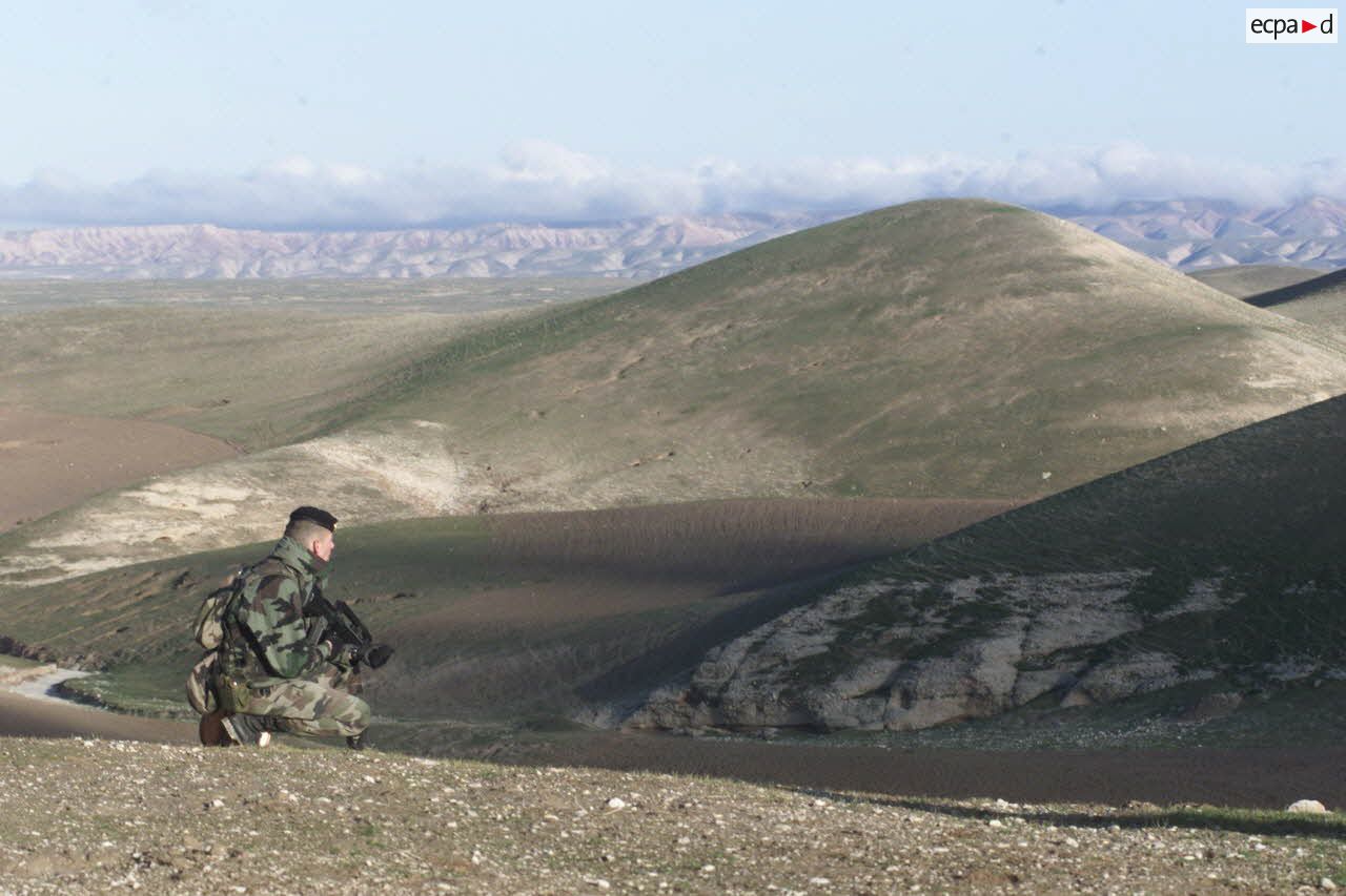 Un marsouin en reconnaissance.