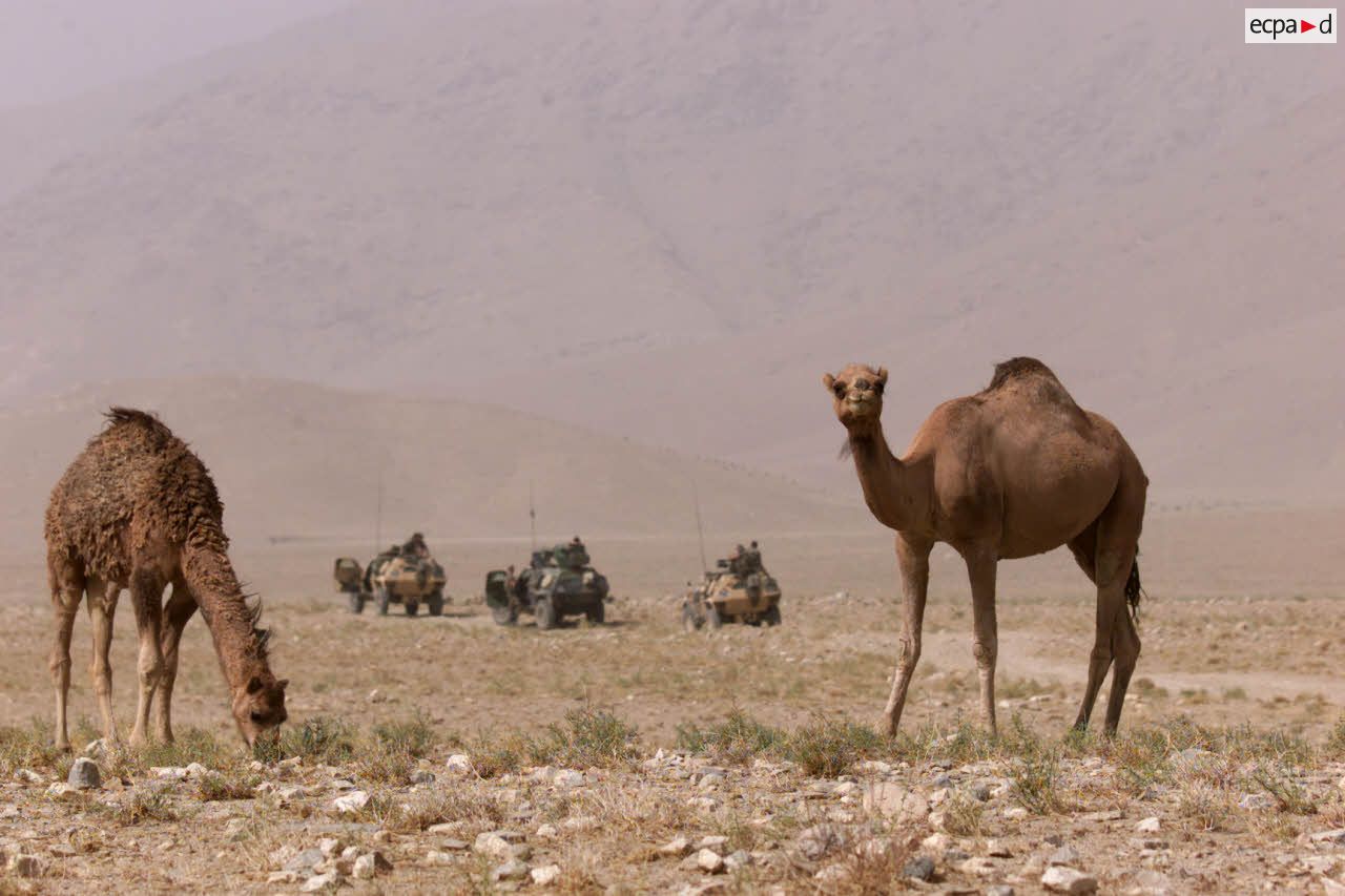 L'élément de reconnaissance et d'investigation (ERI) du 4e régiment de chasseurs (RCh) patrouille dans l'AOR (zone de responsabilité) française.