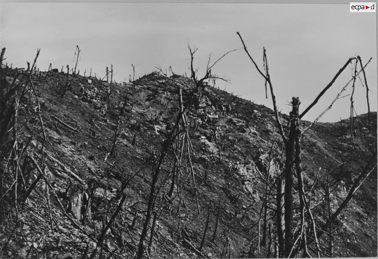 [Cote 851. Crèvecoeur. Octobre 1951.]