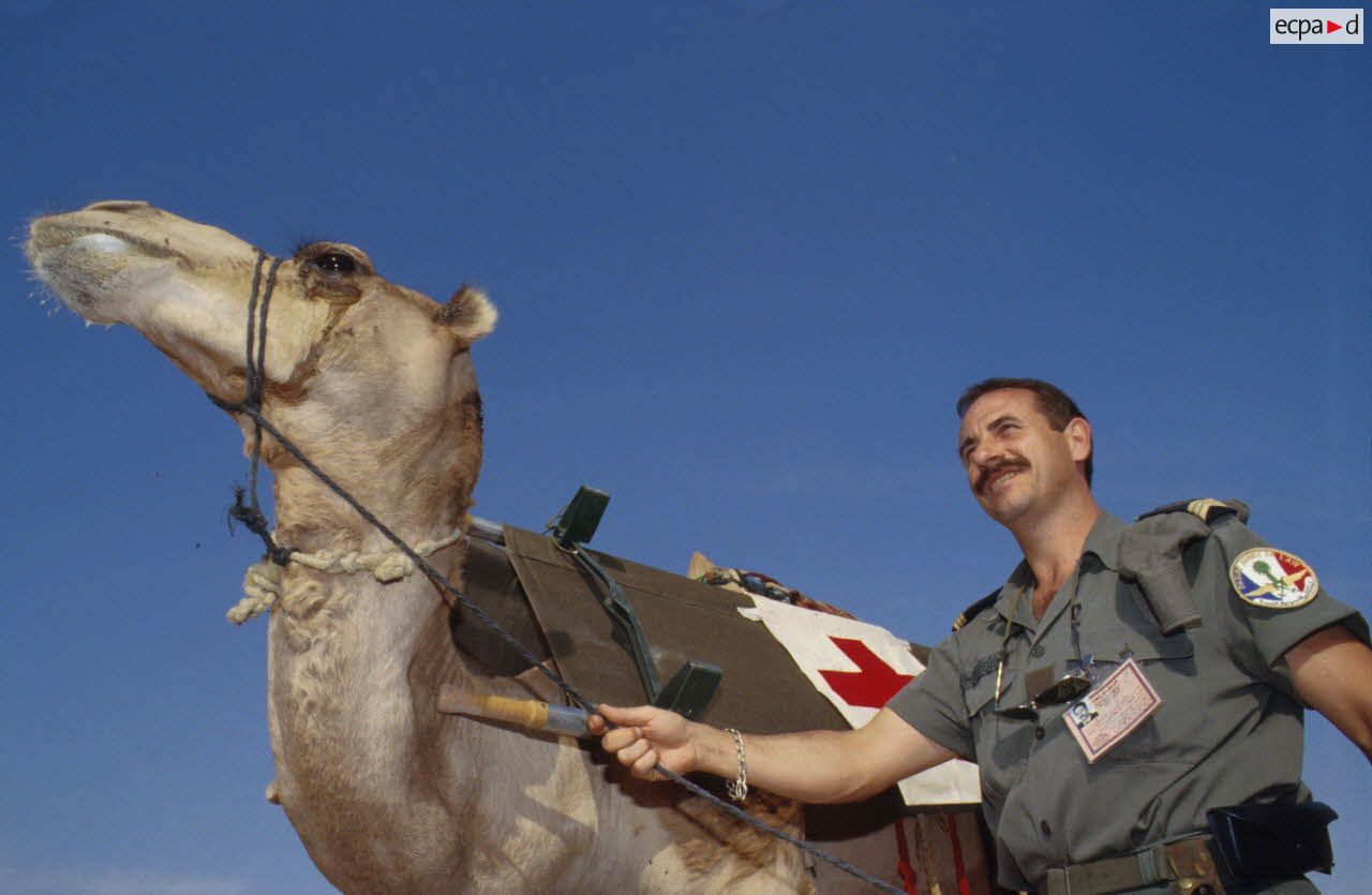 Un sergent-chef de l'armée de l'Air mène un dromadaire utilisé comme ambulance du SSA (Service de santé des armées) et transportant un brancard.