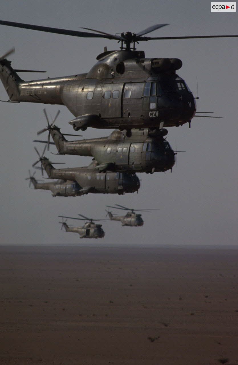 Six hélicoptères de transport Puma SA-330 des 1er et 5e RHC survolent le désert en formation groupée lors de l'héliportage de groupes de combat du 1er RI vers la zone d'opération nord.