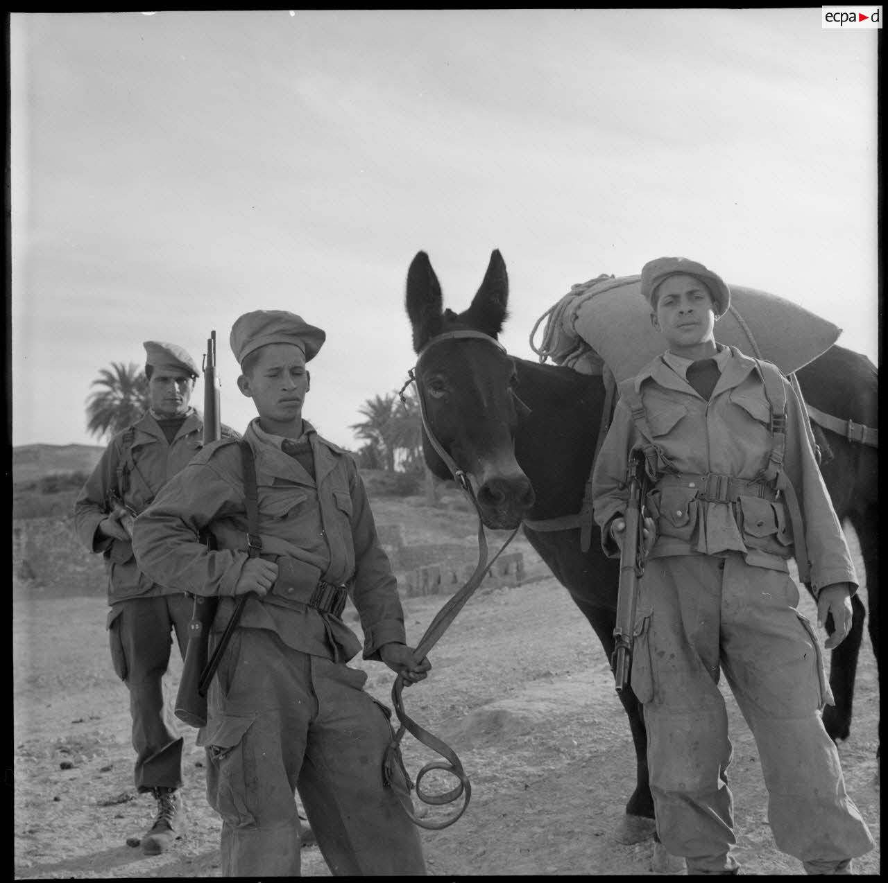 Départ des harkis de Bou-Saâda en opération.