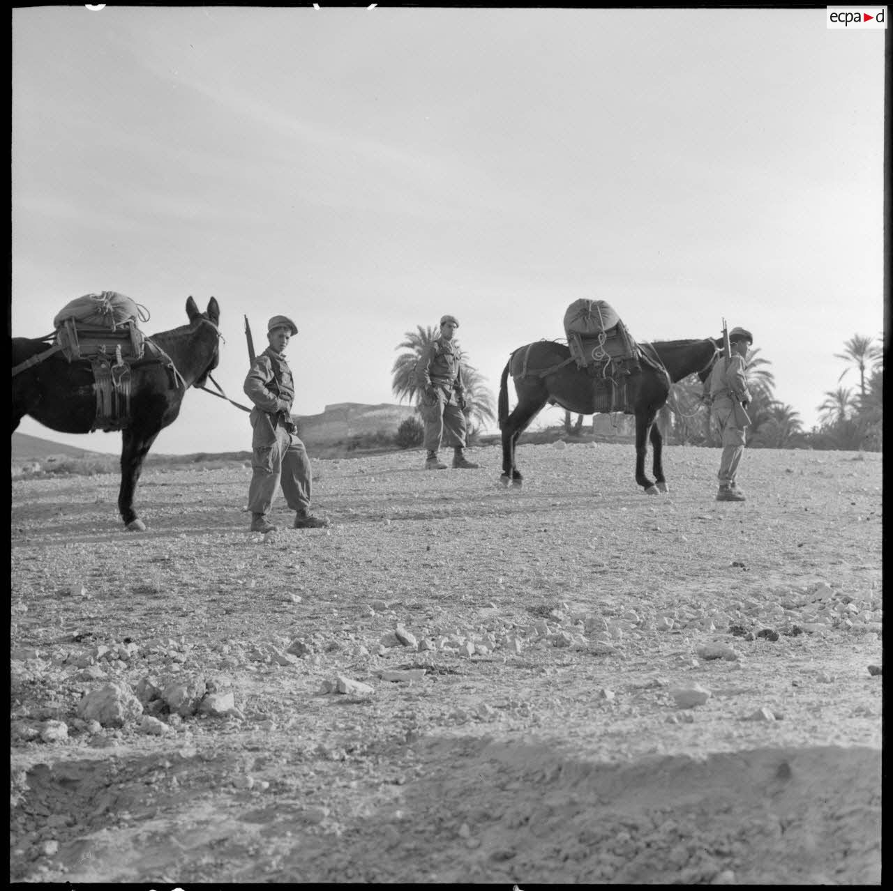 Départ des harkis de Bou-Saâda en opération.