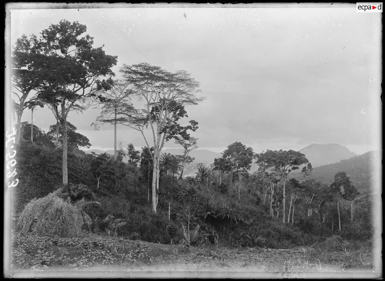 Yaoundé. Ferme de Mvogo-Betzi. Un orage. [légende d'origine]