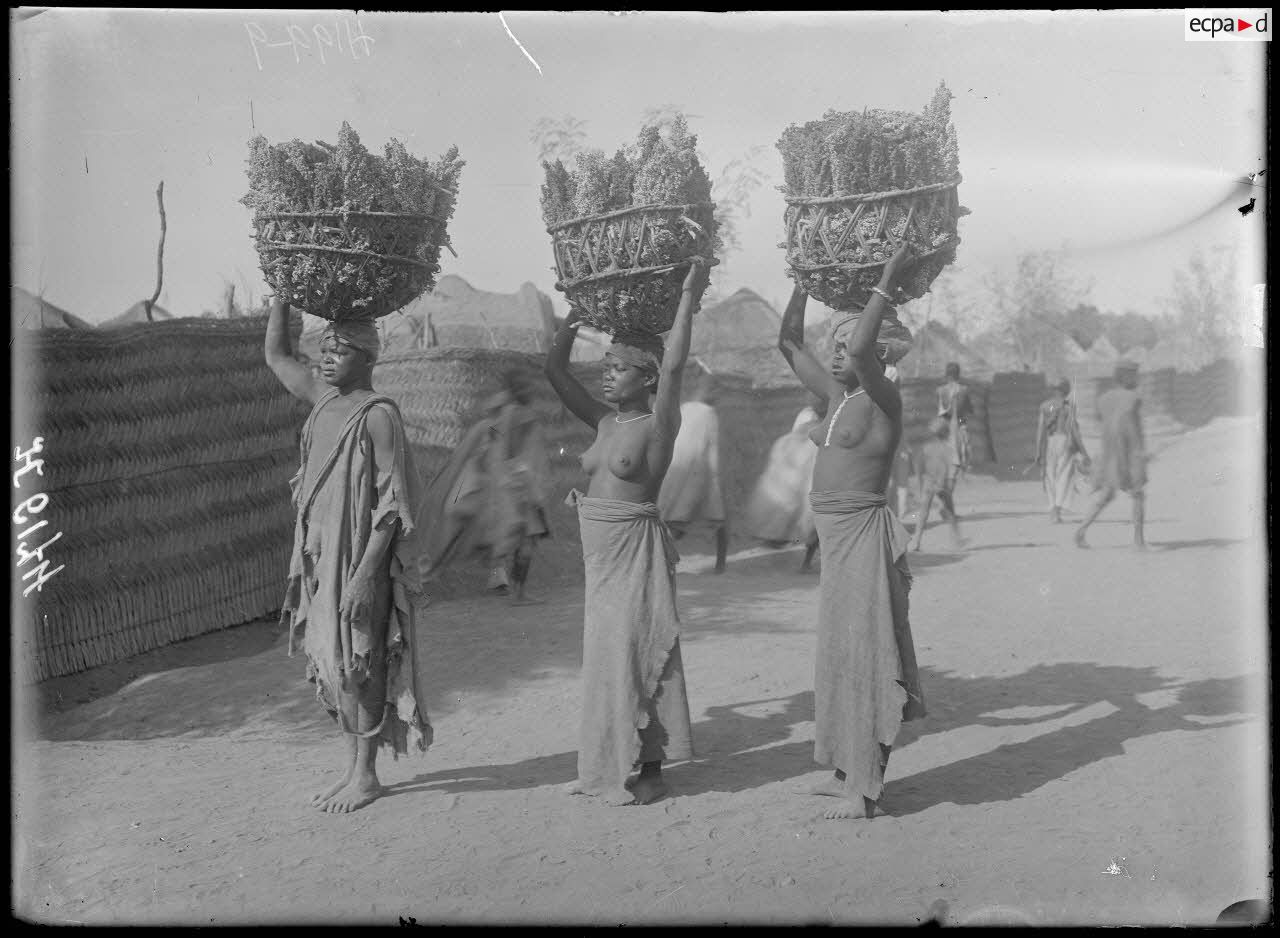 Garoua. Femmes portant du mil. [légende d'origine]