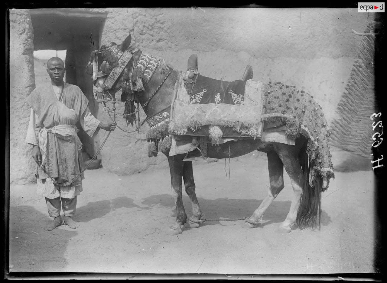 Mora. Le cheval du lamido caparaçonné. [légende d'origine]