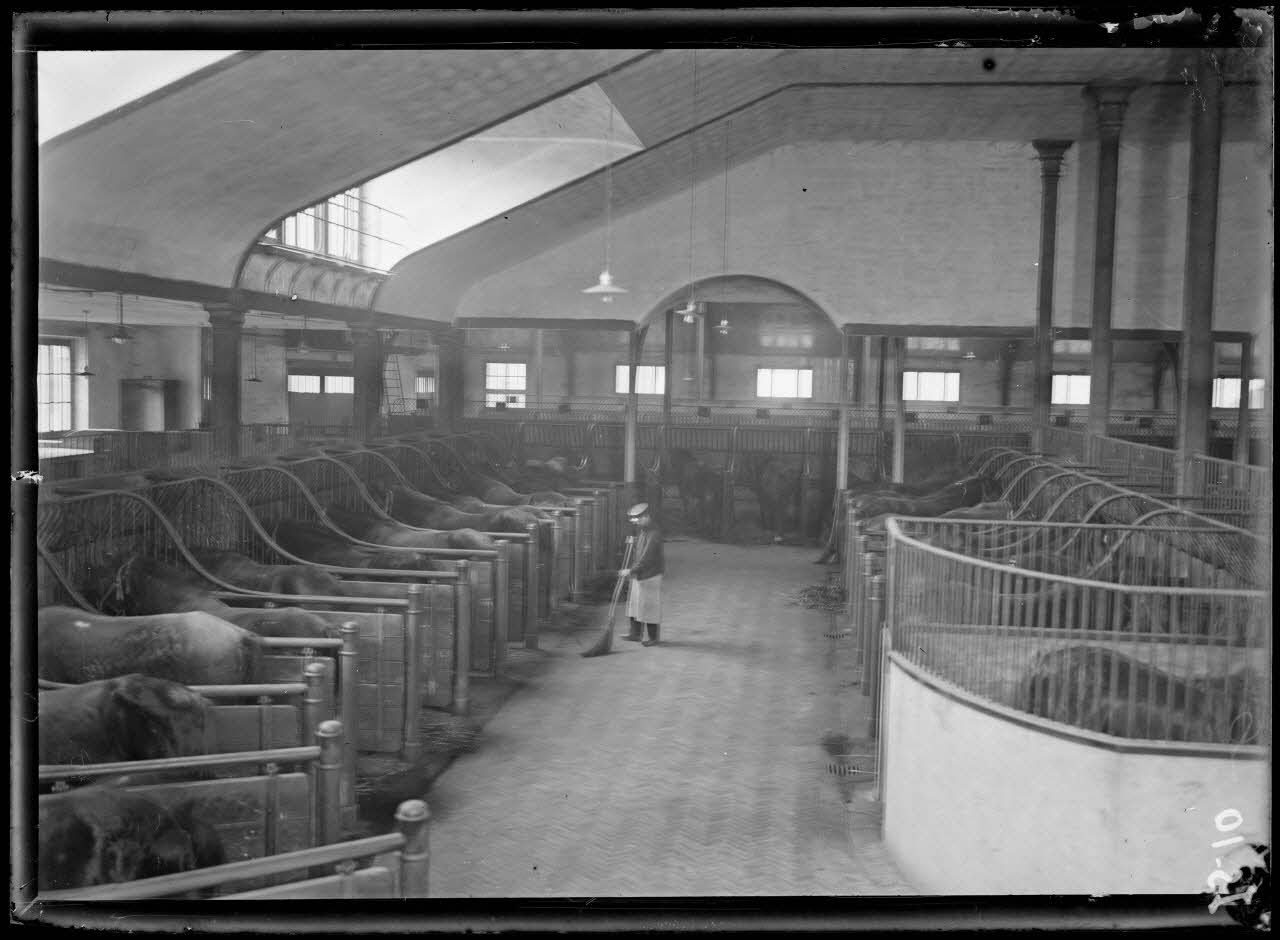 Garches, Seine-et-Oise, Institut Pasteur, fabrication des sérums. Ecurie circulaire. [légende d'origine]