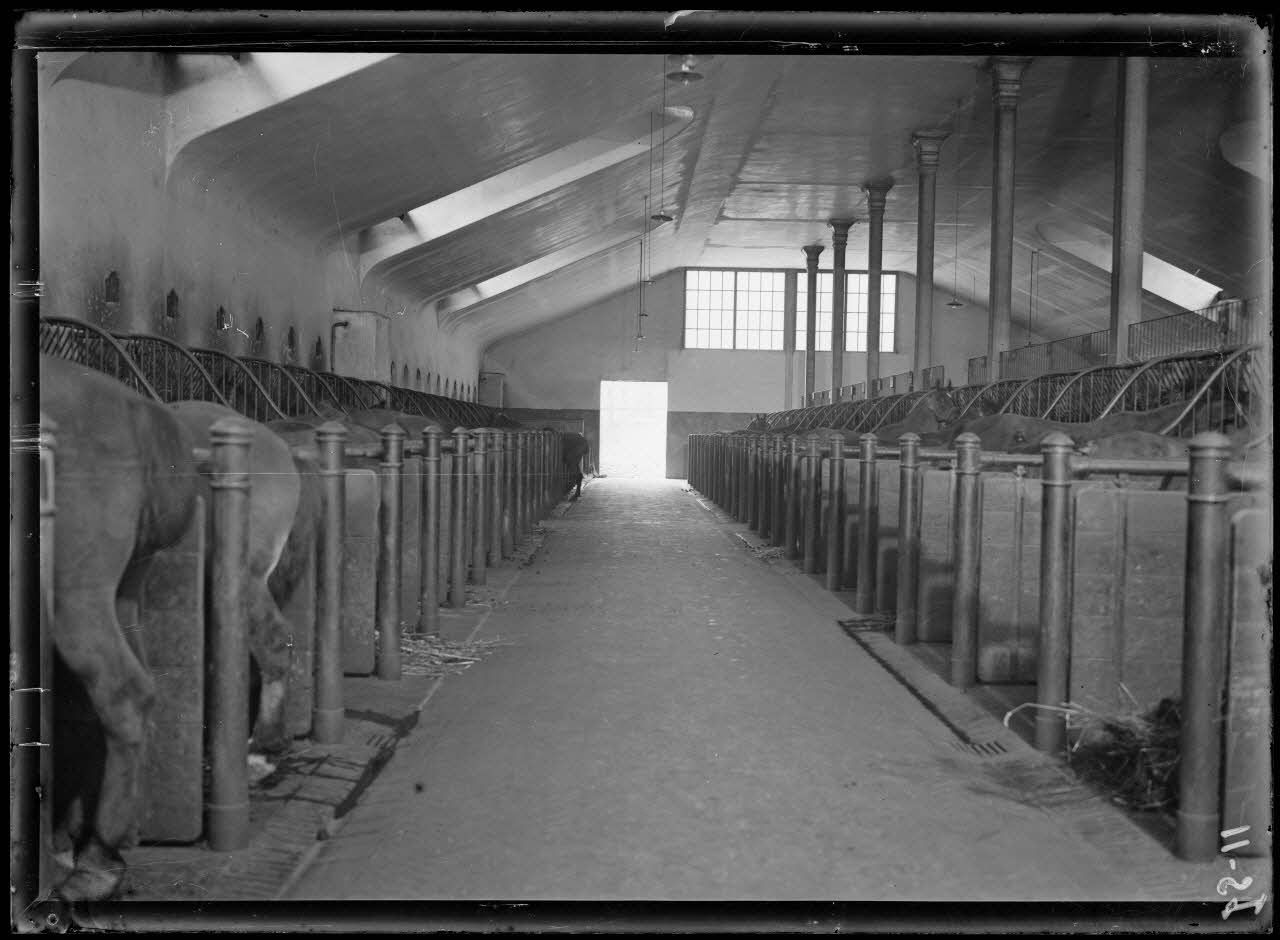 Garches, Seine-et-Oise, Institut Pasteur, fabrication des sérums. Ecurie. [légende d'origine]